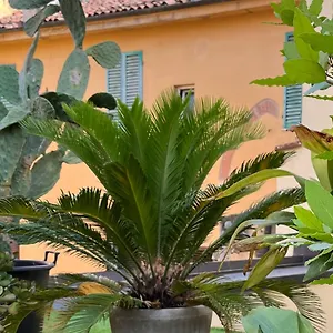 Appartement The Jasmine Terrace Retreat, Bologna